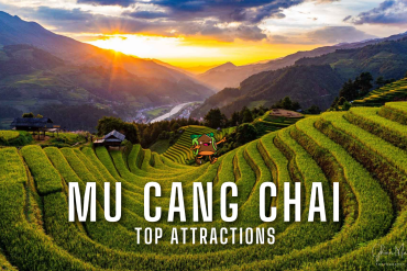 Mù Cang Chải: Cẩm Nang Săn Mùa Lúa Chín Vàng Óng